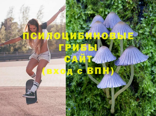 ГАЛЛЮЦИНОГЕННЫЕ ГРИБЫ Волоколамск