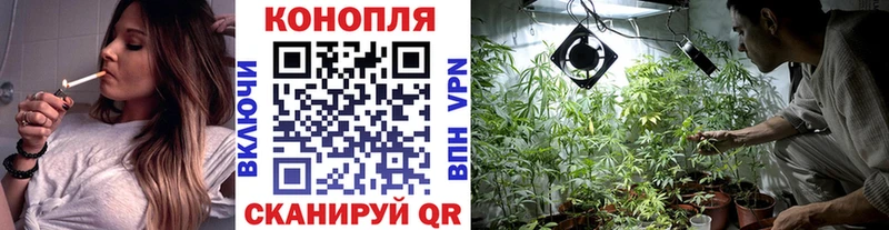 Конопля Amnesia  Нестеров 